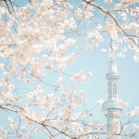 Hotel Ichigaya（Jr Ichigaya Sta.) Tokio Buitenkant foto